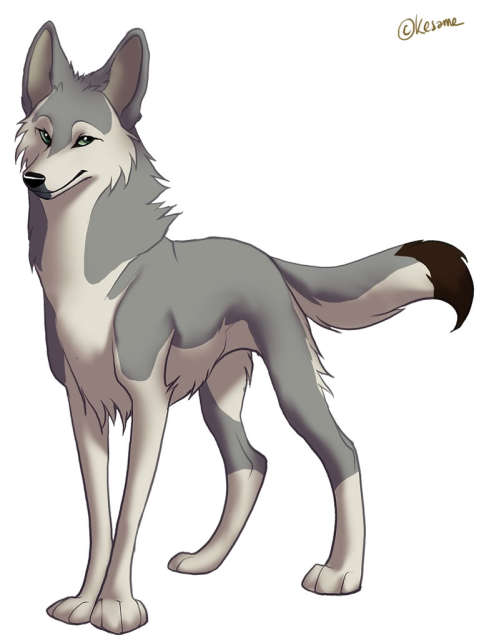 anime female wolf